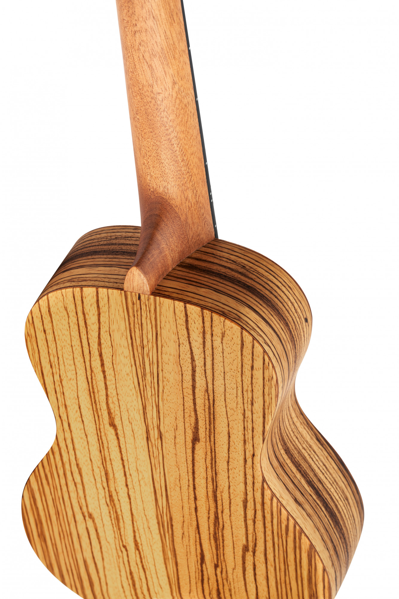 Ortega Ukulele Concerto (Zebraholz), inkl. Tasche
