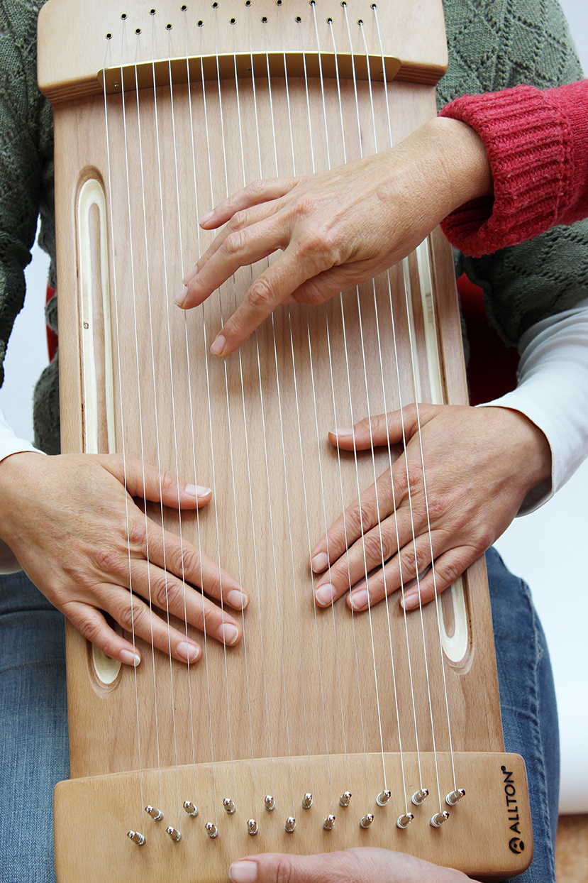 Allton Spür-Monochord, Modell C; BASS-WÖLBI, geölt, Ton A