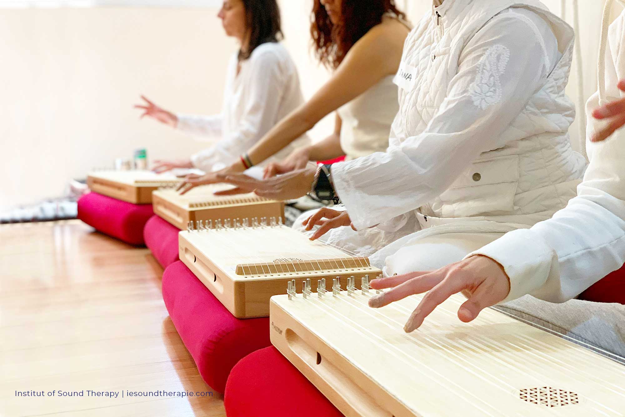 Monochord-Allton-iesoundtherapy