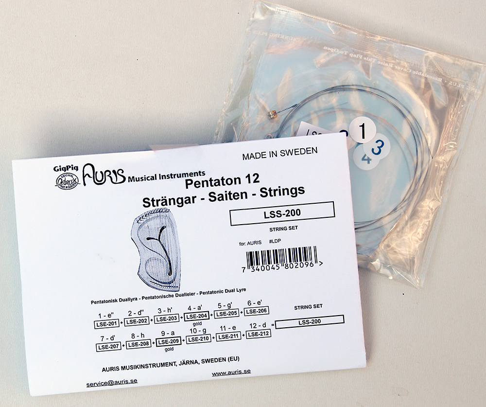 Saiten-Satz für LDP, Auris