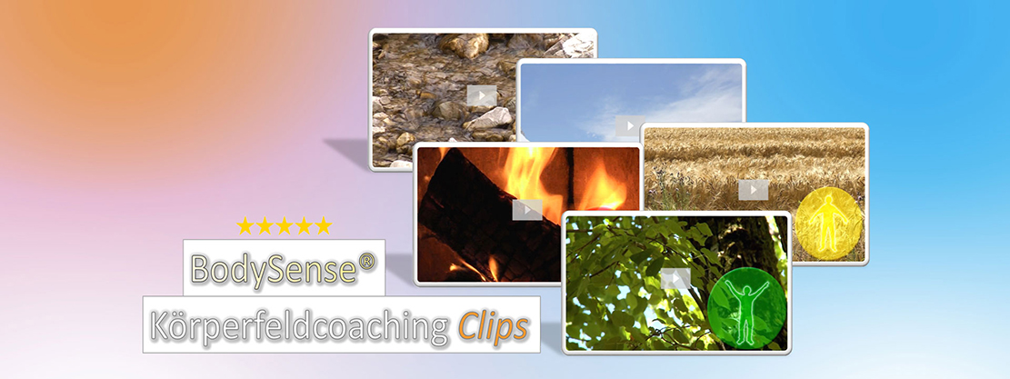 Software Körperfeldcoaching Clips