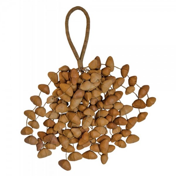 ChaCha-Nut Seed-Shaker